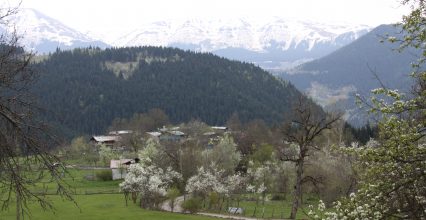 ARTVIN ARTVIN